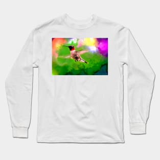 Hummingbird Visit Long Sleeve T-Shirt